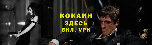 мет Арсеньев