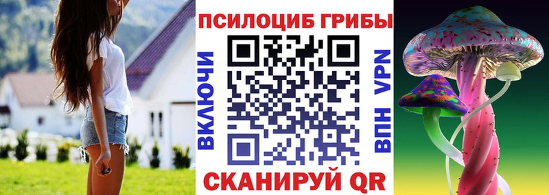 Галлюциногенные грибы Cubensis  Купить где  Сальск 